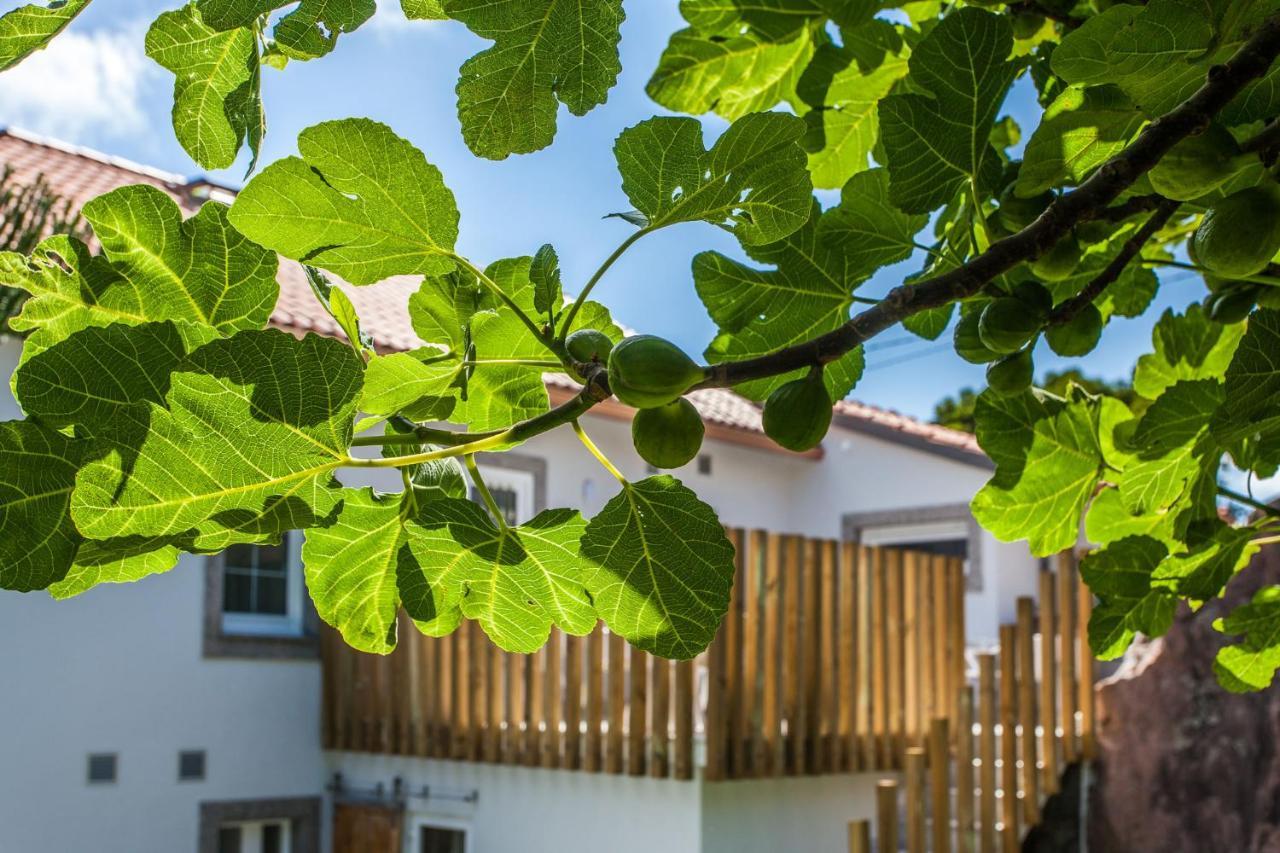 Mar Do Ezaro - Boutique Hotel Exterior photo